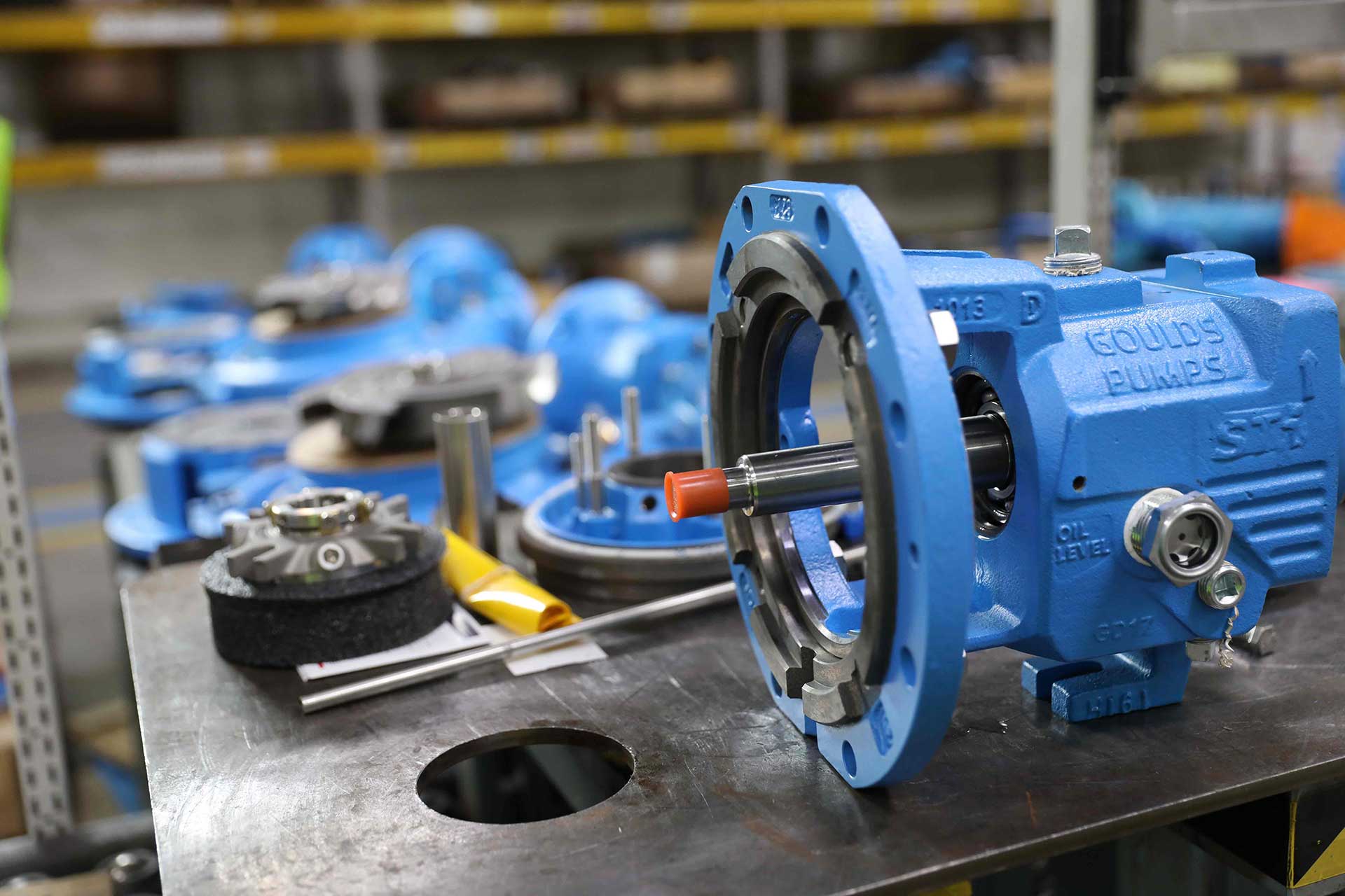 Goulds Pumps / ITT