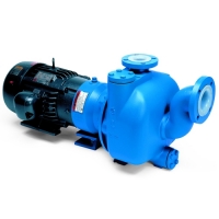 SP 3298 for Self-Priming Process Pump