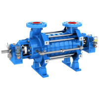 3393 High Pressure, Multistage Ring Section Pumps